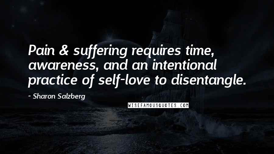Sharon Salzberg Quotes: Pain & suffering requires time, awareness, and an intentional practice of self-love to disentangle.