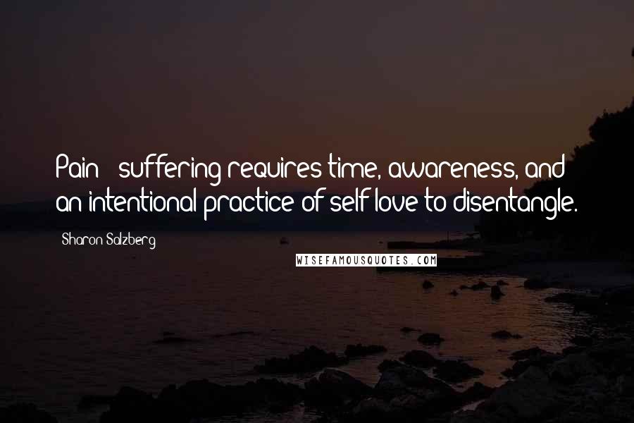 Sharon Salzberg Quotes: Pain & suffering requires time, awareness, and an intentional practice of self-love to disentangle.
