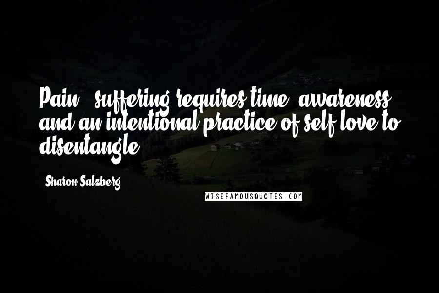 Sharon Salzberg Quotes: Pain & suffering requires time, awareness, and an intentional practice of self-love to disentangle.
