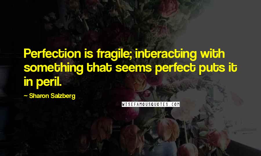 Sharon Salzberg Quotes: Perfection is fragile; interacting with something that seems perfect puts it in peril.
