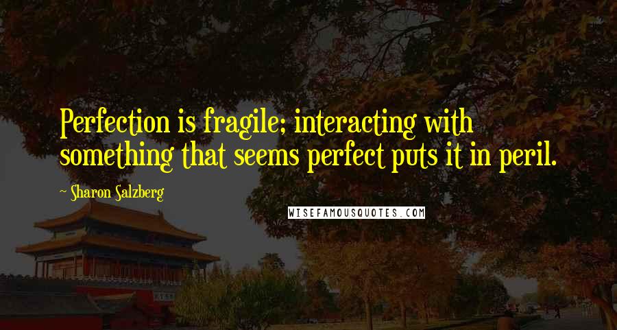 Sharon Salzberg Quotes: Perfection is fragile; interacting with something that seems perfect puts it in peril.