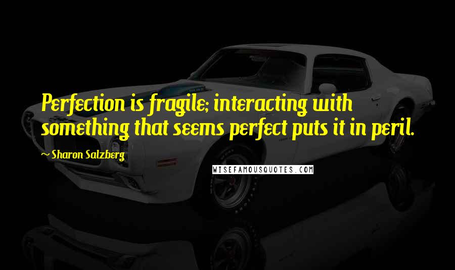 Sharon Salzberg Quotes: Perfection is fragile; interacting with something that seems perfect puts it in peril.