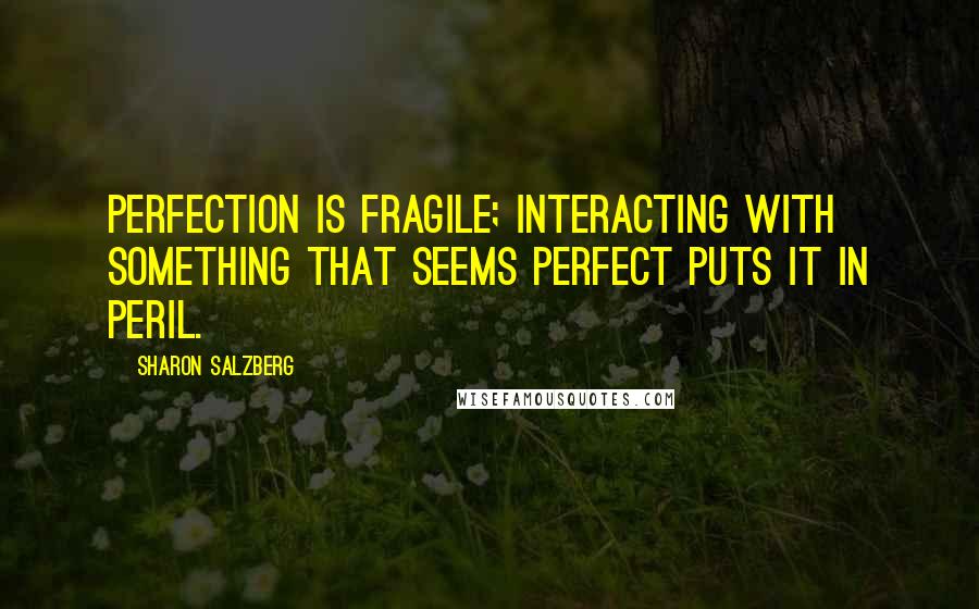 Sharon Salzberg Quotes: Perfection is fragile; interacting with something that seems perfect puts it in peril.