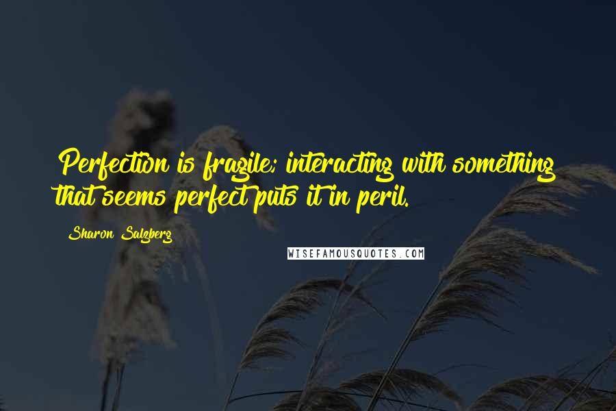 Sharon Salzberg Quotes: Perfection is fragile; interacting with something that seems perfect puts it in peril.