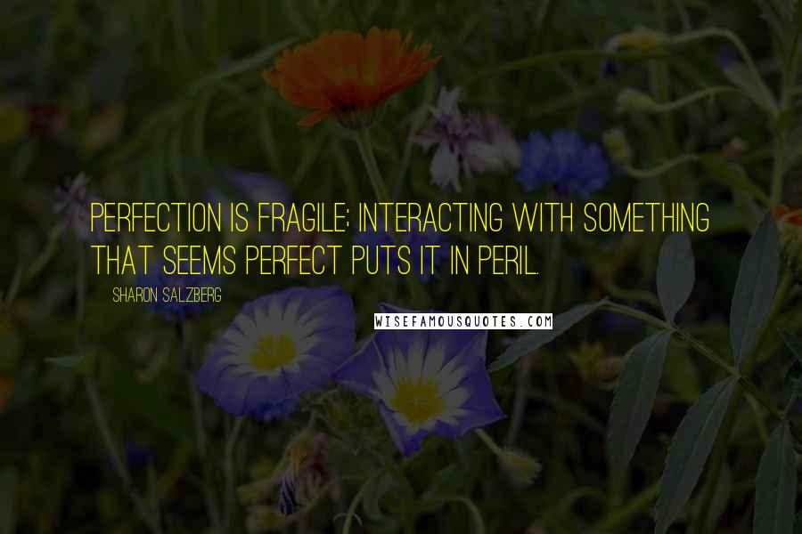 Sharon Salzberg Quotes: Perfection is fragile; interacting with something that seems perfect puts it in peril.