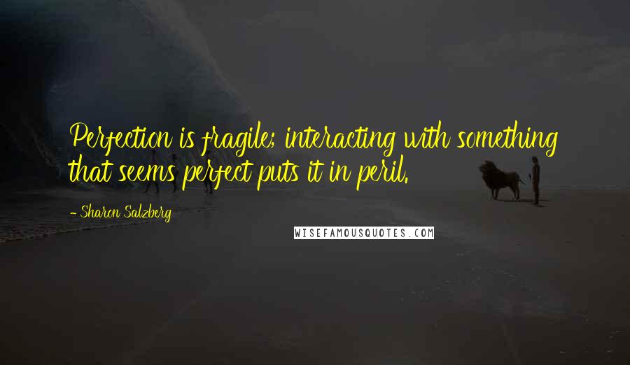 Sharon Salzberg Quotes: Perfection is fragile; interacting with something that seems perfect puts it in peril.