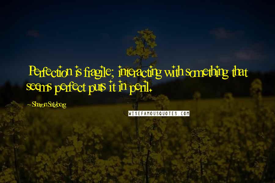 Sharon Salzberg Quotes: Perfection is fragile; interacting with something that seems perfect puts it in peril.