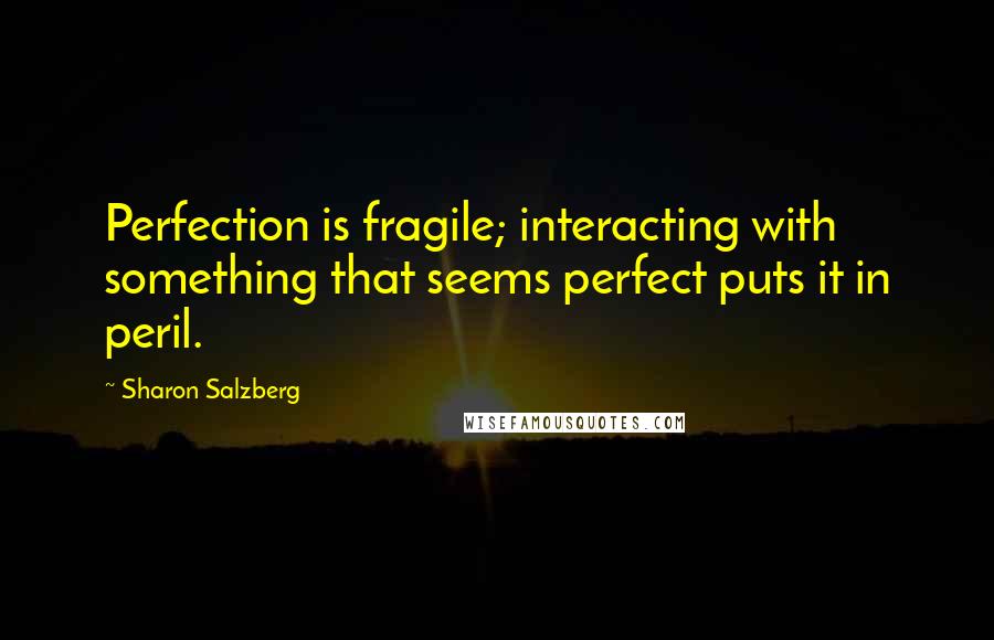 Sharon Salzberg Quotes: Perfection is fragile; interacting with something that seems perfect puts it in peril.