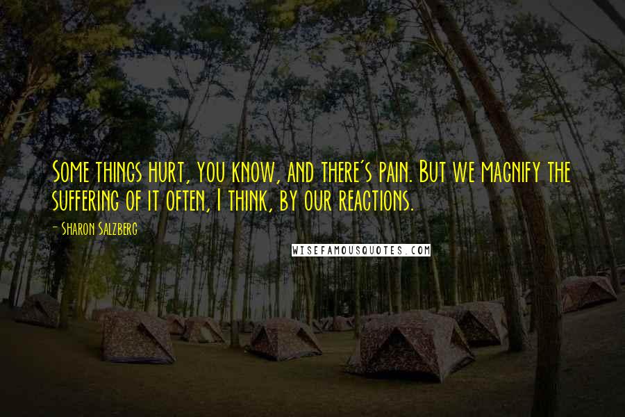 Sharon Salzberg Quotes: Some things hurt, you know, and there's pain. But we magnify the suffering of it often, I think, by our reactions.
