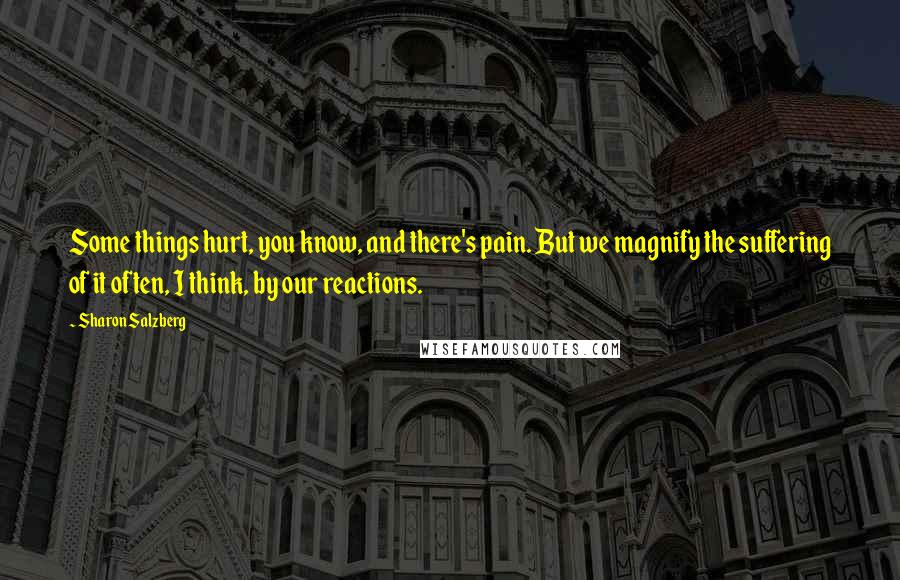 Sharon Salzberg Quotes: Some things hurt, you know, and there's pain. But we magnify the suffering of it often, I think, by our reactions.