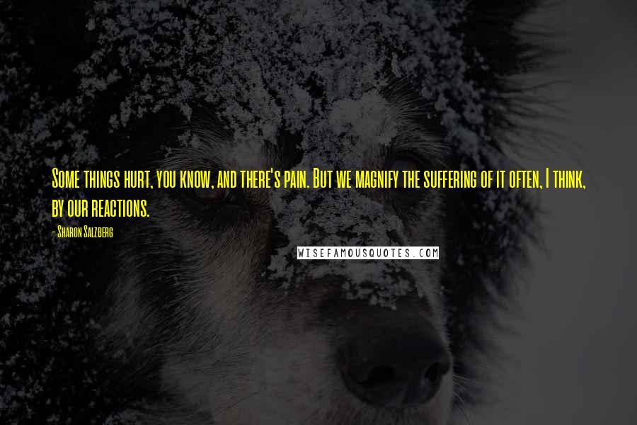 Sharon Salzberg Quotes: Some things hurt, you know, and there's pain. But we magnify the suffering of it often, I think, by our reactions.