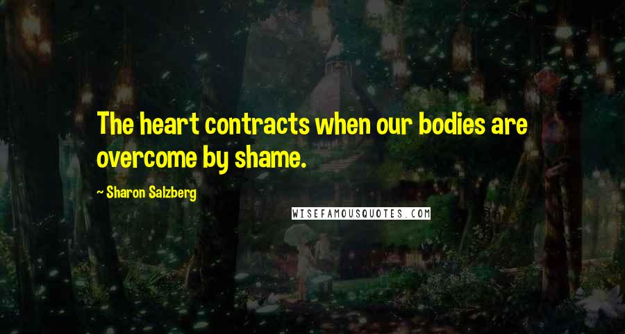 Sharon Salzberg Quotes: The heart contracts when our bodies are overcome by shame.