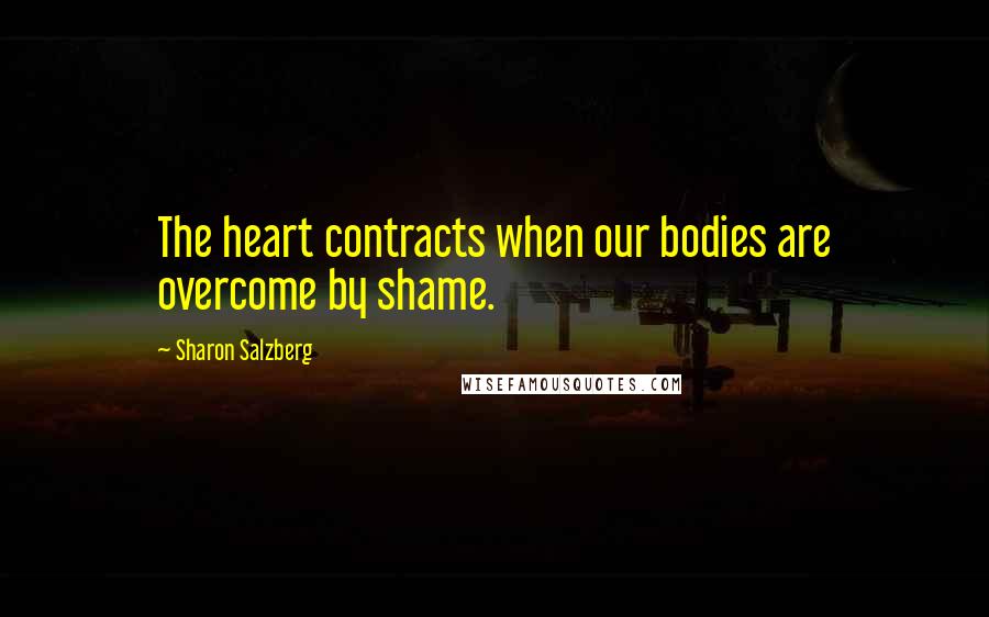 Sharon Salzberg Quotes: The heart contracts when our bodies are overcome by shame.