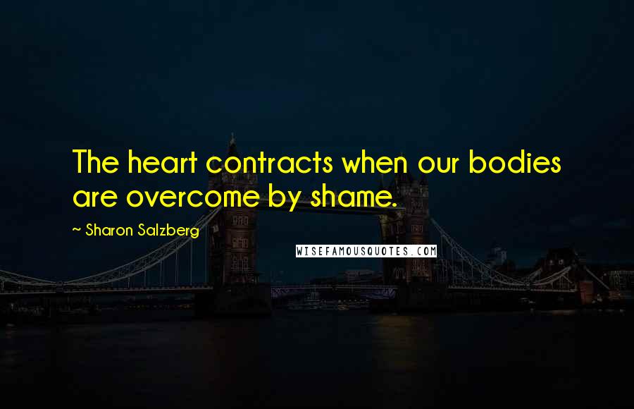 Sharon Salzberg Quotes: The heart contracts when our bodies are overcome by shame.