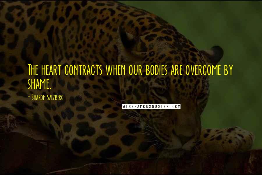 Sharon Salzberg Quotes: The heart contracts when our bodies are overcome by shame.