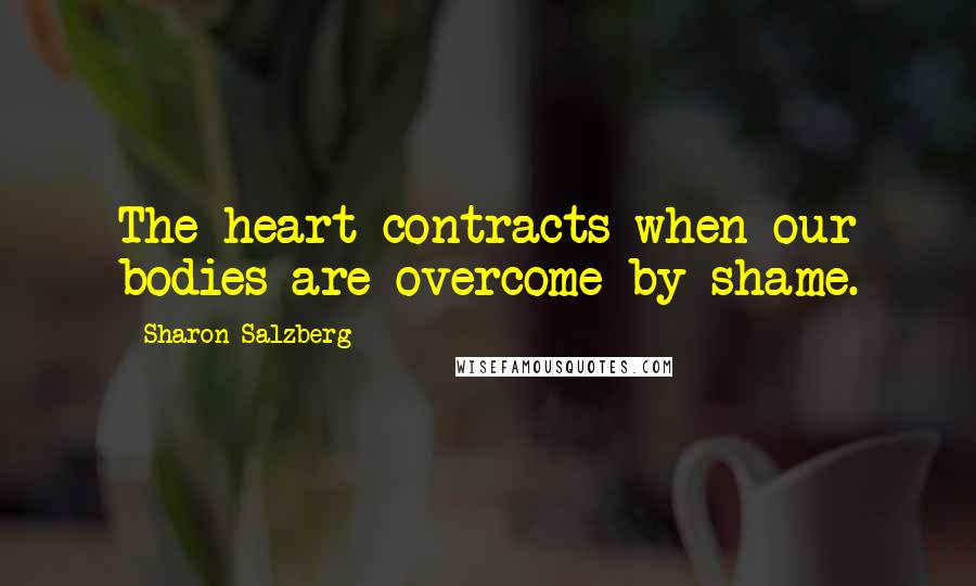 Sharon Salzberg Quotes: The heart contracts when our bodies are overcome by shame.
