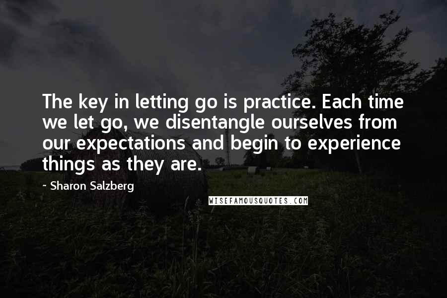 Sharon Salzberg Quotes: The key in letting go is practice. Each time we let go, we disentangle ourselves from our expectations and begin to experience things as they are.
