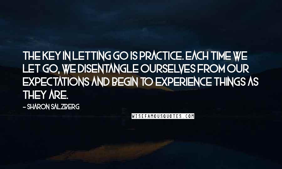 Sharon Salzberg Quotes: The key in letting go is practice. Each time we let go, we disentangle ourselves from our expectations and begin to experience things as they are.