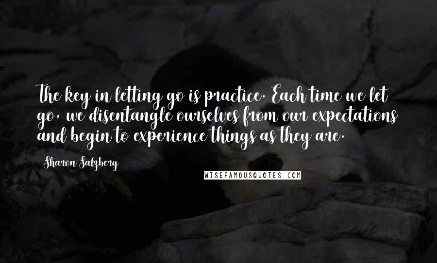 Sharon Salzberg Quotes: The key in letting go is practice. Each time we let go, we disentangle ourselves from our expectations and begin to experience things as they are.