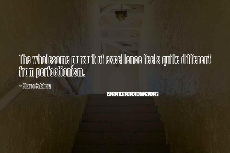 Sharon Salzberg Quotes: The wholesome pursuit of excellence feels quite different from perfectionism.