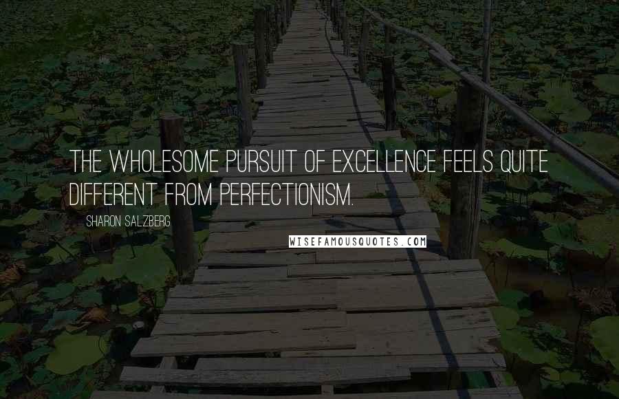 Sharon Salzberg Quotes: The wholesome pursuit of excellence feels quite different from perfectionism.