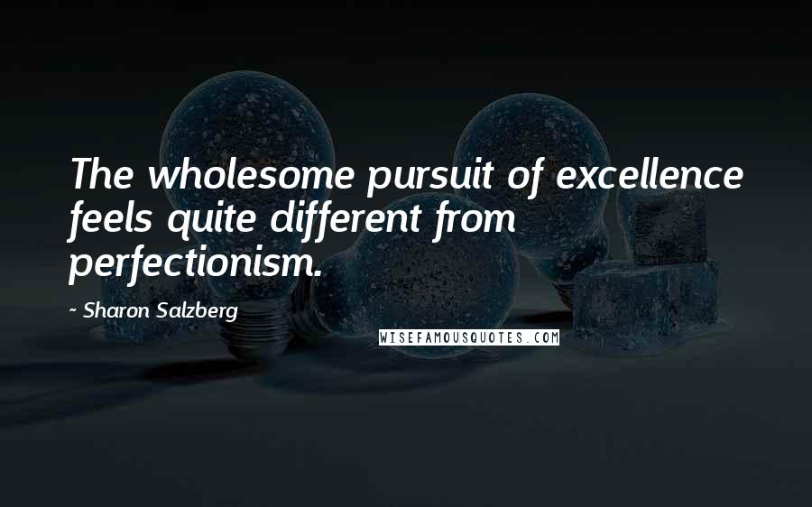 Sharon Salzberg Quotes: The wholesome pursuit of excellence feels quite different from perfectionism.