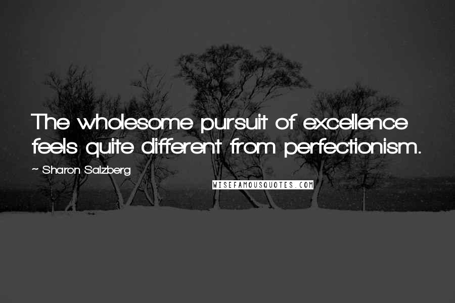 Sharon Salzberg Quotes: The wholesome pursuit of excellence feels quite different from perfectionism.