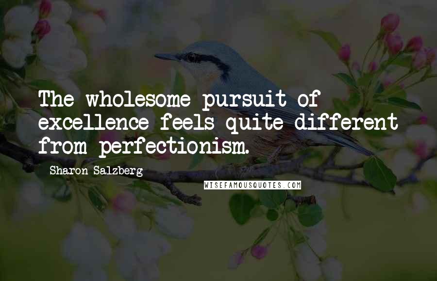 Sharon Salzberg Quotes: The wholesome pursuit of excellence feels quite different from perfectionism.