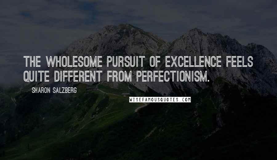 Sharon Salzberg Quotes: The wholesome pursuit of excellence feels quite different from perfectionism.