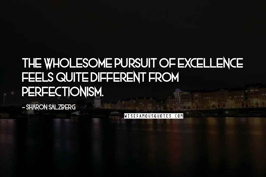 Sharon Salzberg Quotes: The wholesome pursuit of excellence feels quite different from perfectionism.