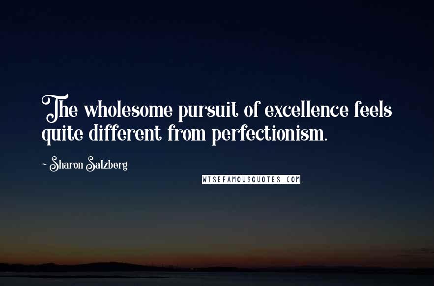 Sharon Salzberg Quotes: The wholesome pursuit of excellence feels quite different from perfectionism.