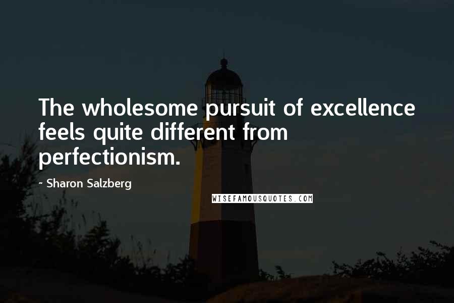 Sharon Salzberg Quotes: The wholesome pursuit of excellence feels quite different from perfectionism.