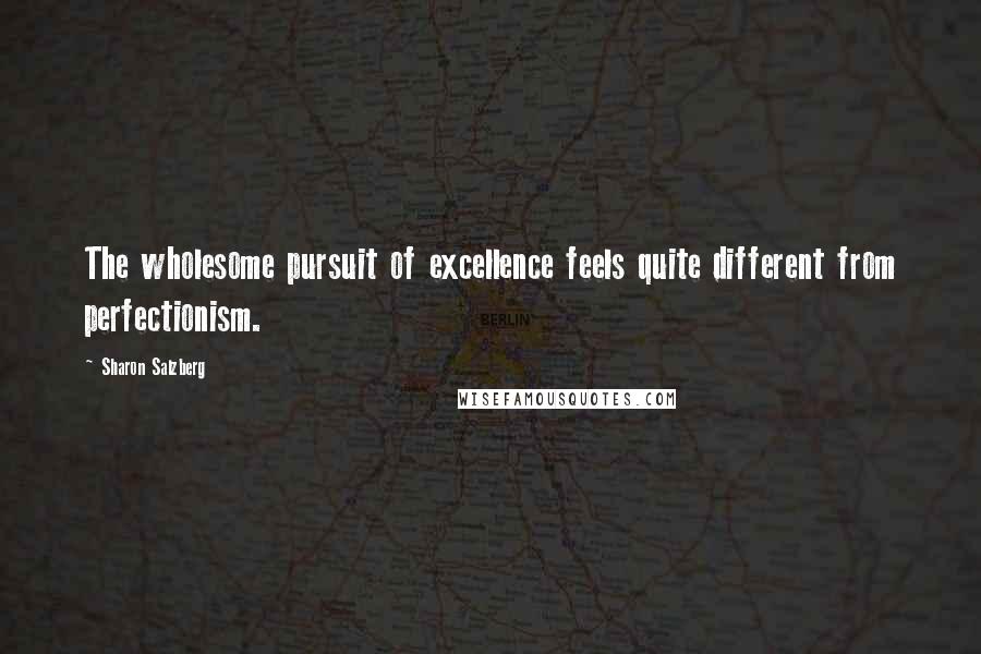 Sharon Salzberg Quotes: The wholesome pursuit of excellence feels quite different from perfectionism.