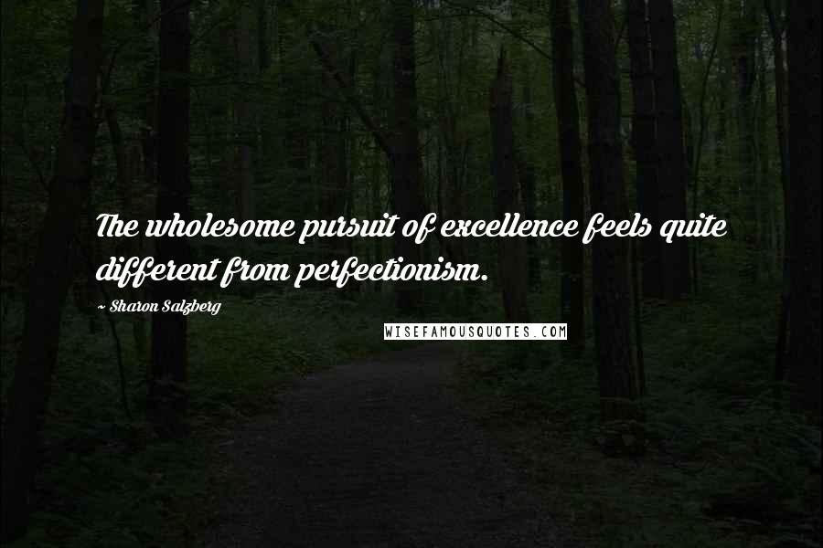 Sharon Salzberg Quotes: The wholesome pursuit of excellence feels quite different from perfectionism.