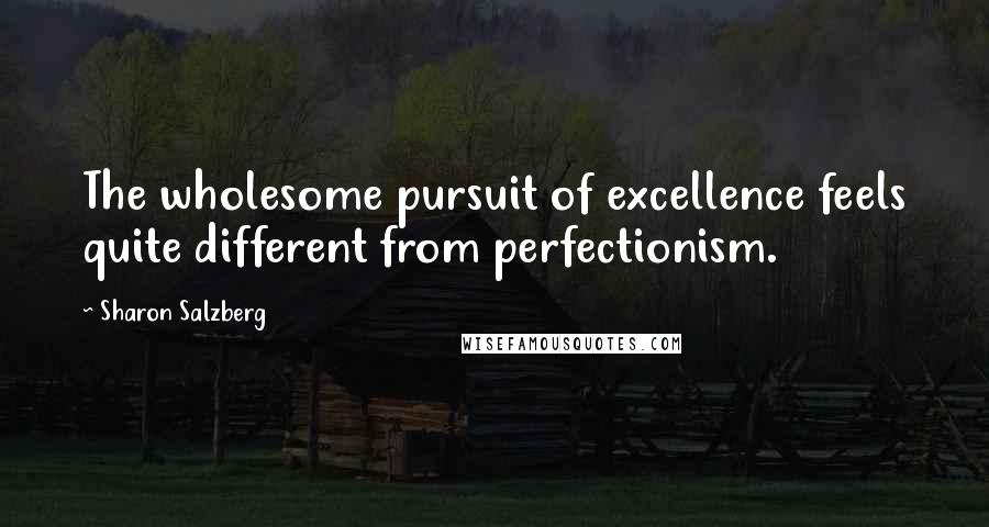 Sharon Salzberg Quotes: The wholesome pursuit of excellence feels quite different from perfectionism.