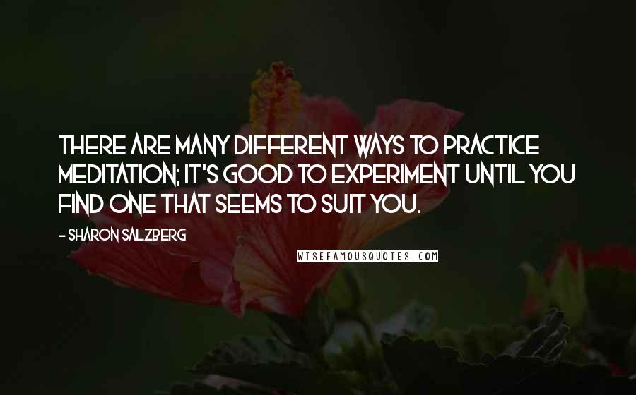 Sharon Salzberg Quotes: There are many different ways to practice meditation; it's good to experiment until you find one that seems to suit you.
