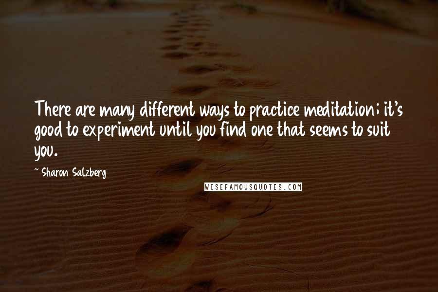 Sharon Salzberg Quotes: There are many different ways to practice meditation; it's good to experiment until you find one that seems to suit you.