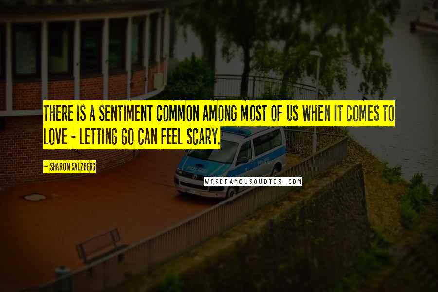 Sharon Salzberg Quotes: There is a sentiment common among most of us when it comes to love - letting go can feel scary.