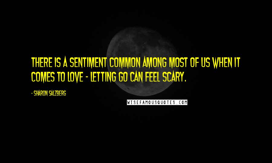 Sharon Salzberg Quotes: There is a sentiment common among most of us when it comes to love - letting go can feel scary.