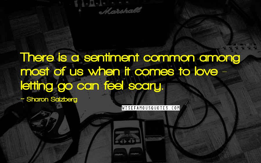 Sharon Salzberg Quotes: There is a sentiment common among most of us when it comes to love - letting go can feel scary.