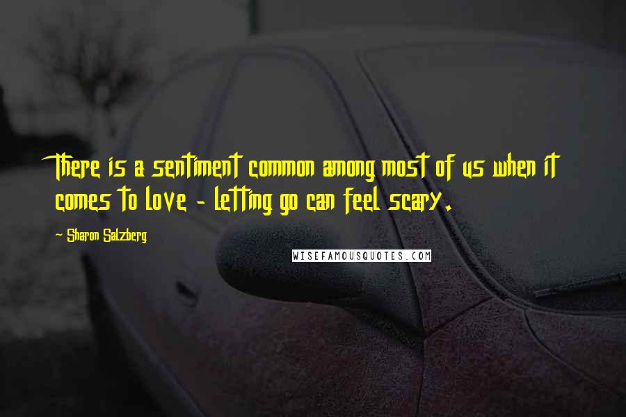 Sharon Salzberg Quotes: There is a sentiment common among most of us when it comes to love - letting go can feel scary.