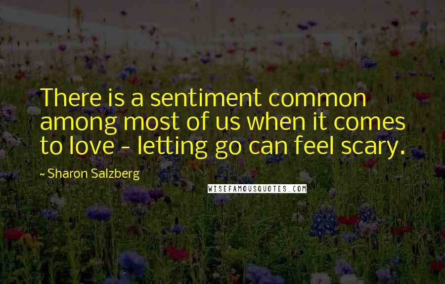 Sharon Salzberg Quotes: There is a sentiment common among most of us when it comes to love - letting go can feel scary.