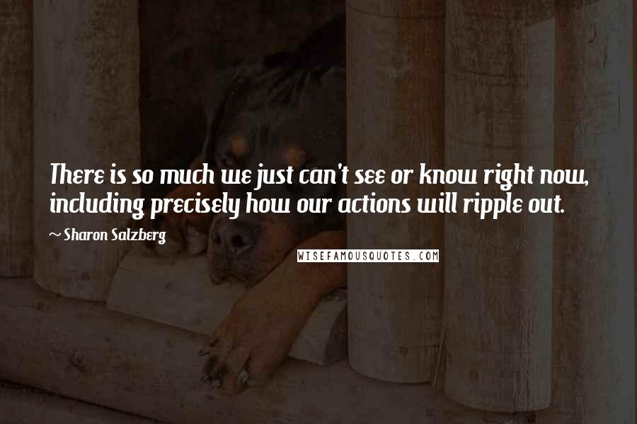 Sharon Salzberg Quotes: There is so much we just can't see or know right now, including precisely how our actions will ripple out.