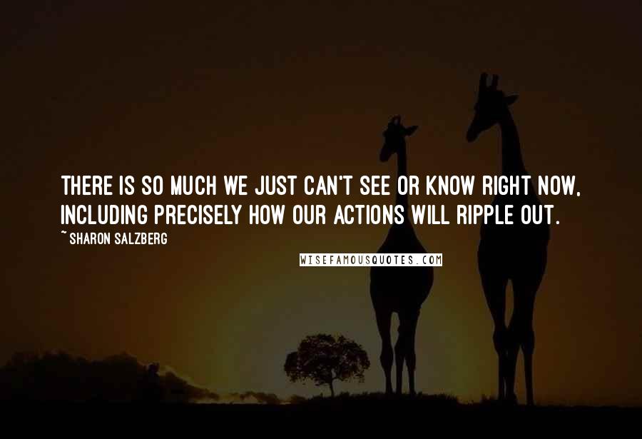 Sharon Salzberg Quotes: There is so much we just can't see or know right now, including precisely how our actions will ripple out.