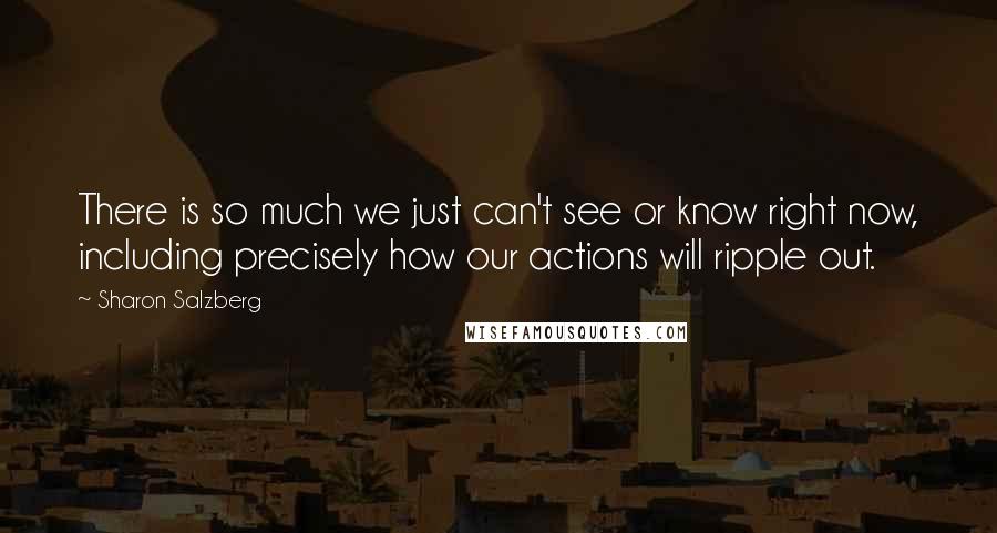 Sharon Salzberg Quotes: There is so much we just can't see or know right now, including precisely how our actions will ripple out.