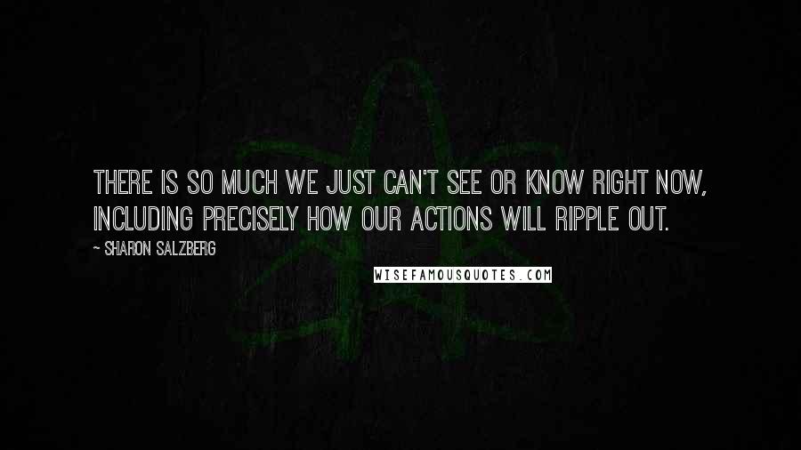 Sharon Salzberg Quotes: There is so much we just can't see or know right now, including precisely how our actions will ripple out.