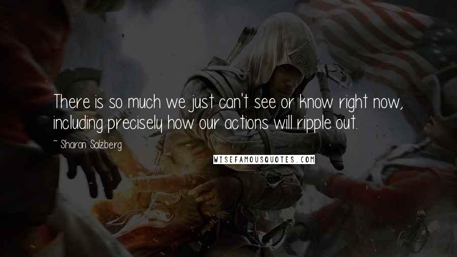 Sharon Salzberg Quotes: There is so much we just can't see or know right now, including precisely how our actions will ripple out.