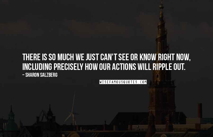Sharon Salzberg Quotes: There is so much we just can't see or know right now, including precisely how our actions will ripple out.
