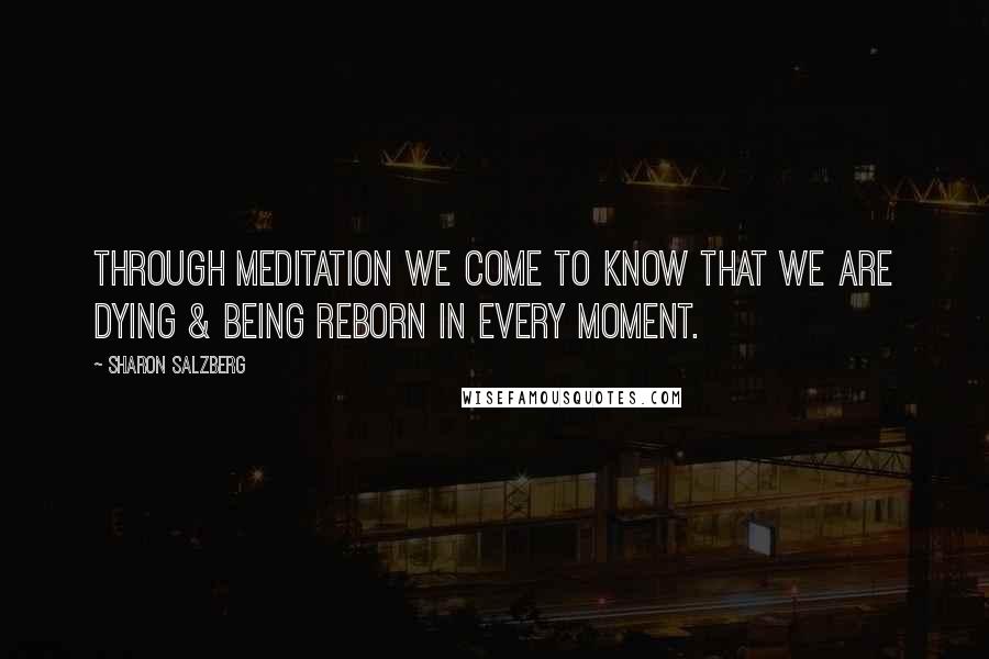 Sharon Salzberg Quotes: Through meditation we come to know that we are dying & being reborn in every moment.