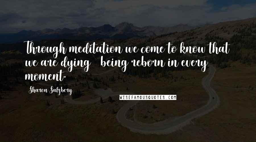 Sharon Salzberg Quotes: Through meditation we come to know that we are dying & being reborn in every moment.